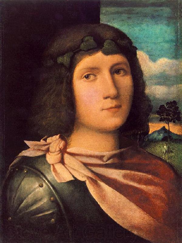 Palma Vecchio Portrait of a Young Man af Spain oil painting art